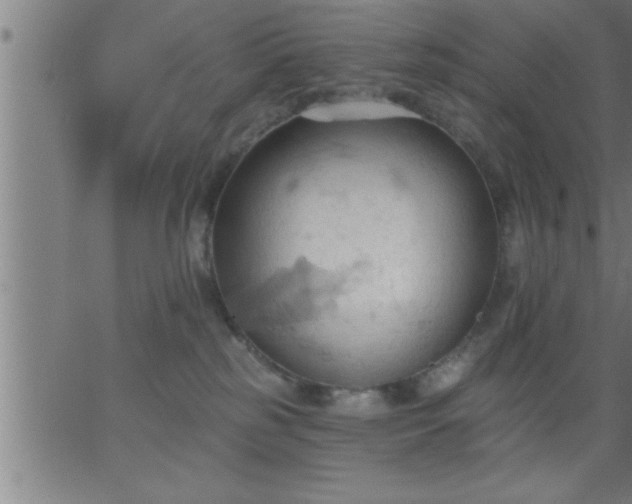 X0000062890185200601201855