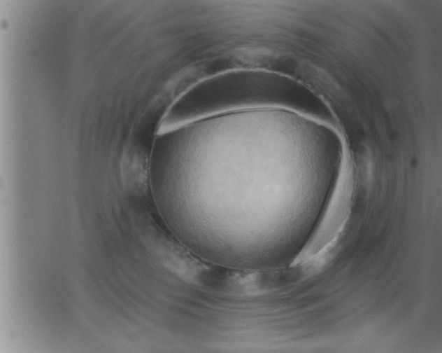 X0000062890186200601201855