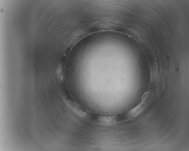 X0000062890187200601201855