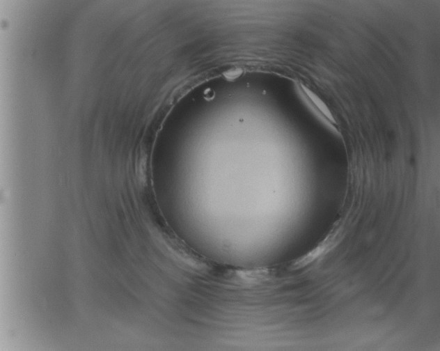 X0000062890188200601201855