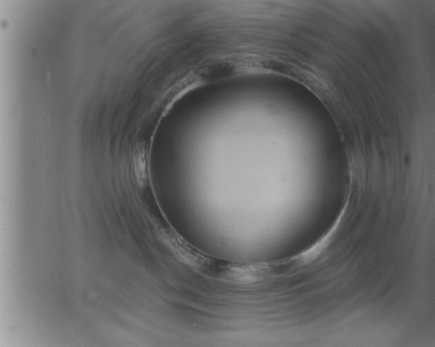 X0000062890190200601201855