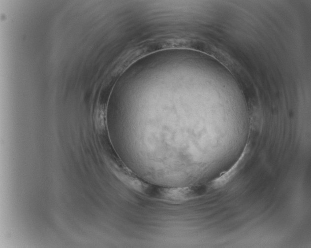 X0000062890191200601201855