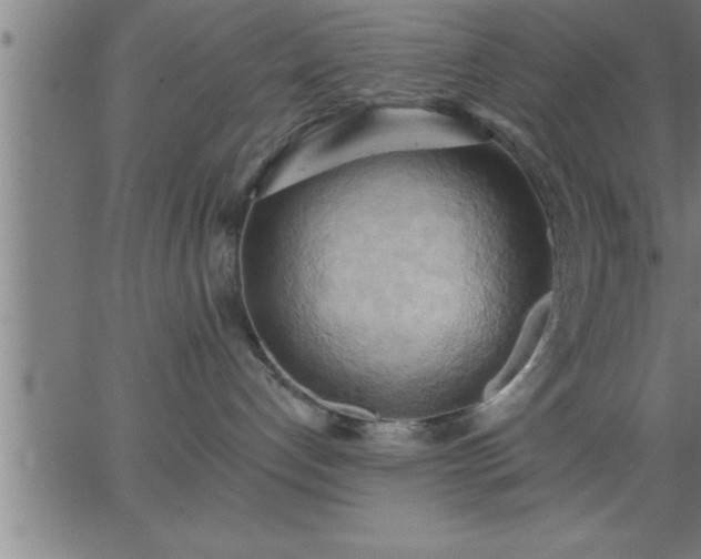 X0000062890192200601201855