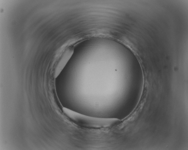 X0000062890193200601201854