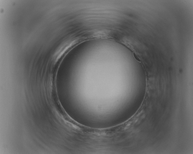 X0000062890194200601201854