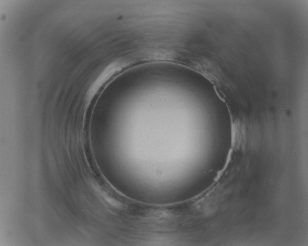 X0000062890195200601201854