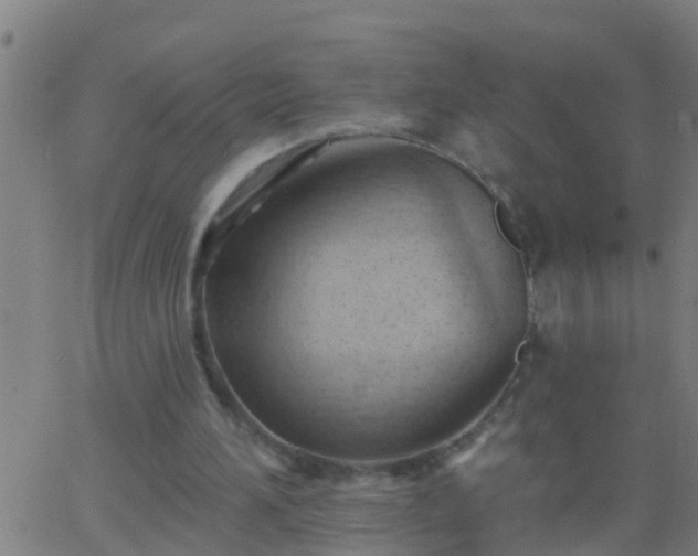 X0000062890196200601201854