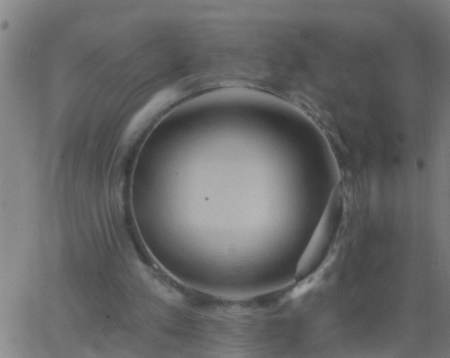 X0000062890197200601201854