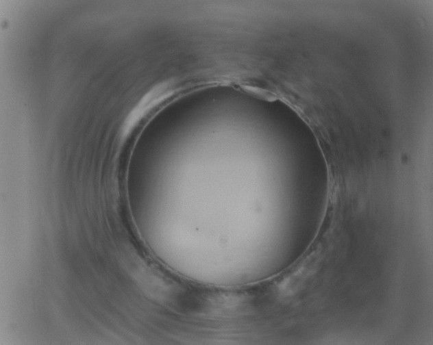 X0000062890198200601201854