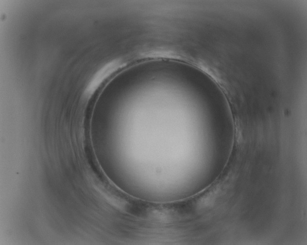 X0000062890199200601201854