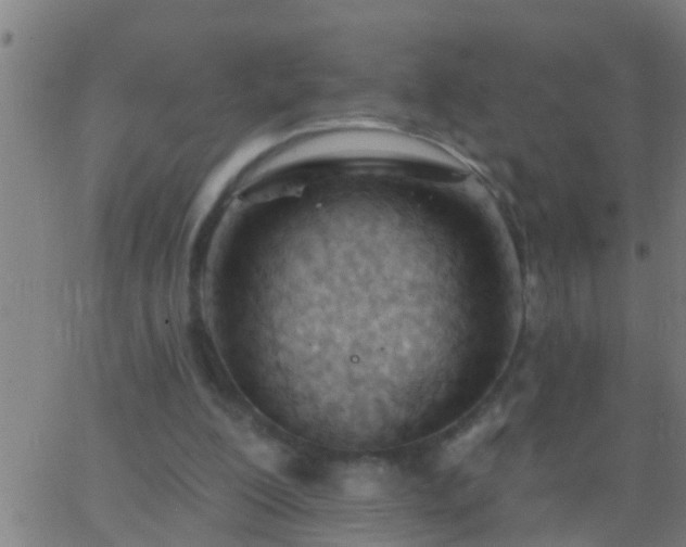 X0000062890200200601201854