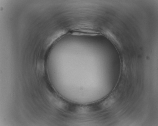 X0000062890202200601201854