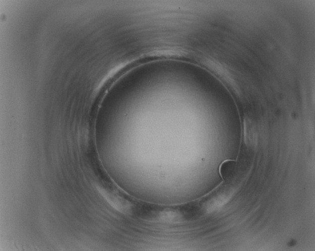 X0000062890204200601201854