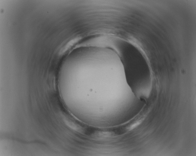 X0000062890205200601201854