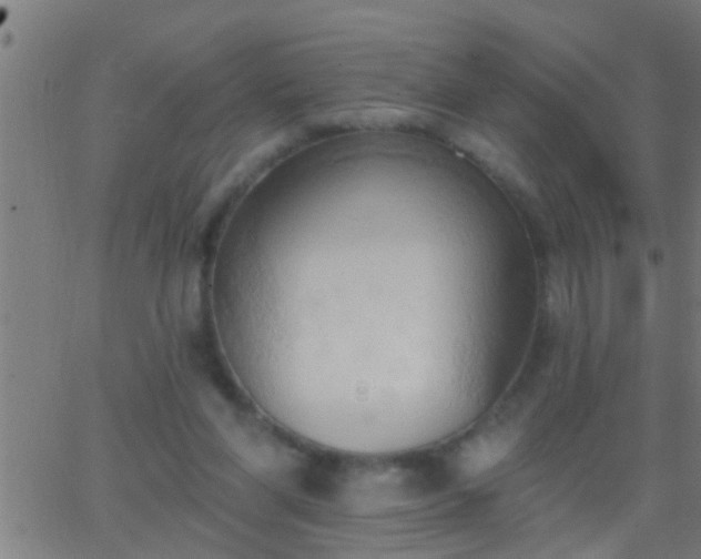 X0000062890206200601201854