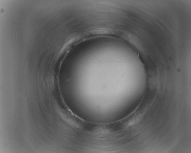 X0000062890207200601201854