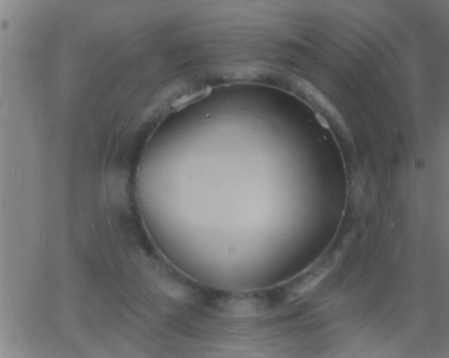 X0000062890209200601201854