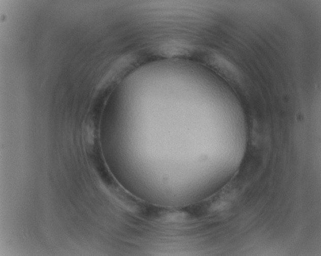 X0000062890210200601201854