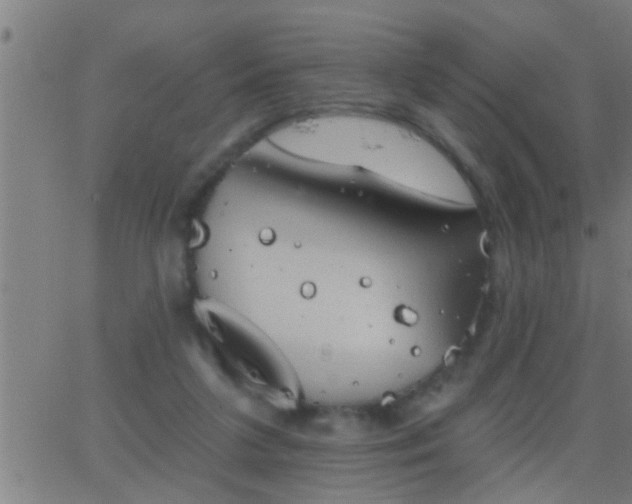 X0000062890211200601201854