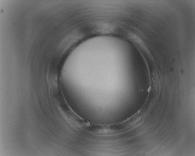 X0000062890212200601201854