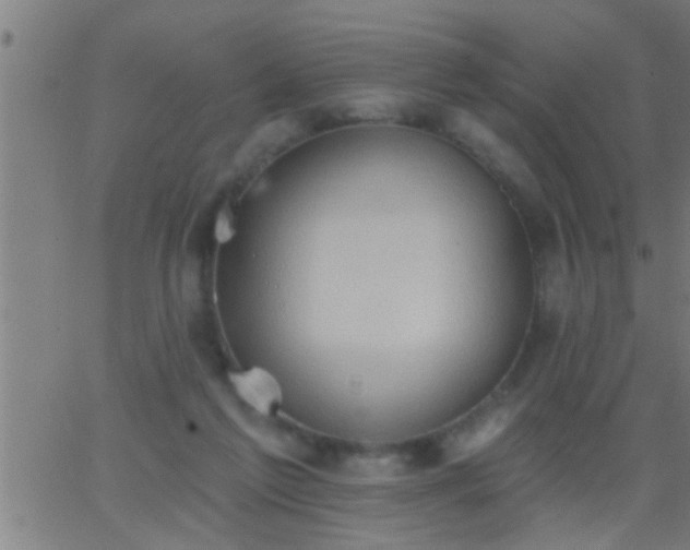 X0000062890213200601201854