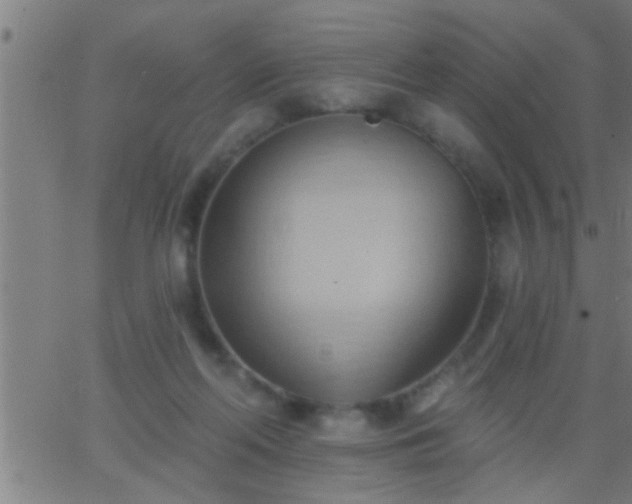 X0000062890214200601201854