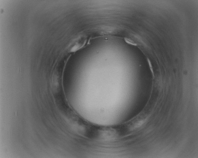 X0000062890215200601201854