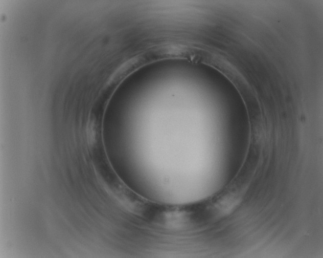 X0000062890216200601201854