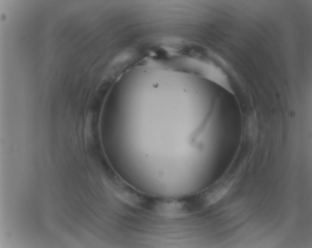 X0000062890217200601201854