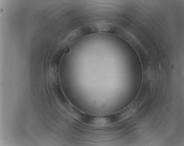 X0000062890218200601201854