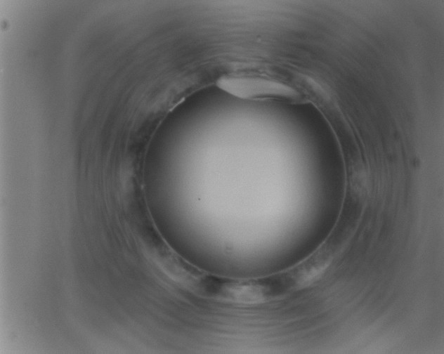 X0000062890221200601201854