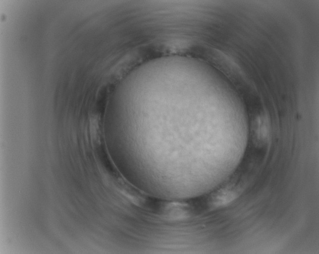 X0000062890222200601201854