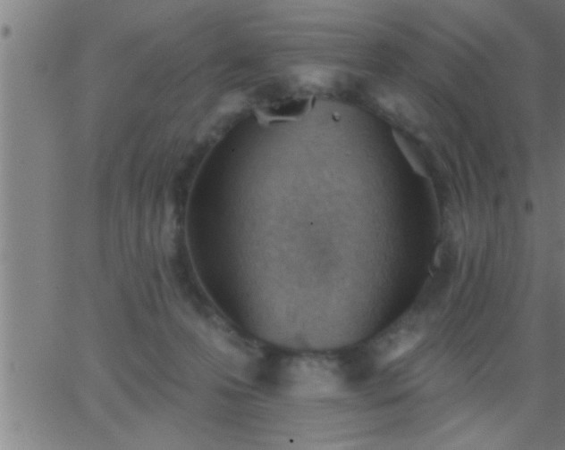 X0000062890223200601201854