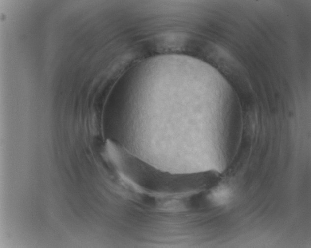 X0000062890224200601201854