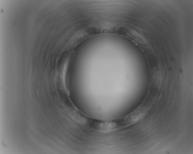 X0000062890225200601201854