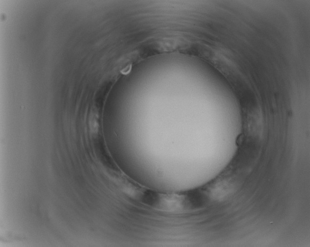 X0000062890226200601201854