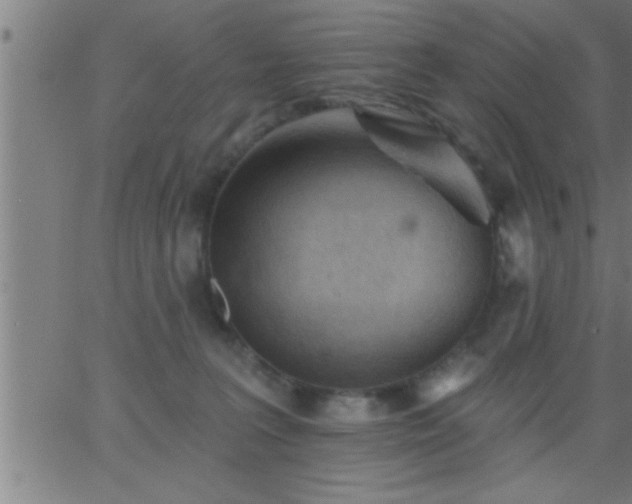 X0000062890227200601201854