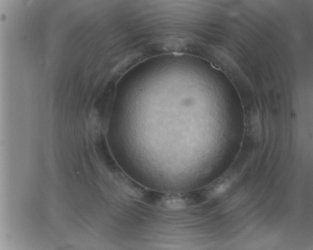 X0000062890228200601201854