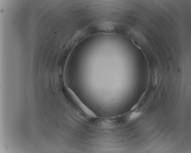 X0000062890229200601201854