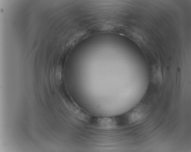 X0000062890230200601201854