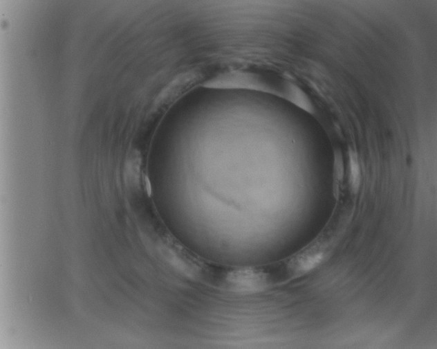 X0000062890231200601201854