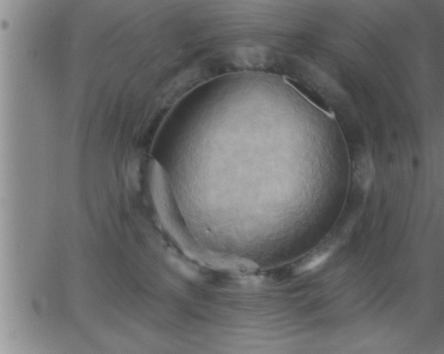 X0000062890233200601201853