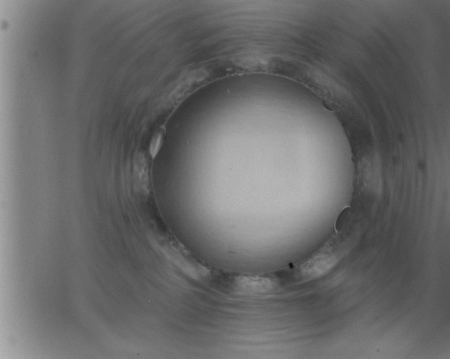 X0000062890234200601201853