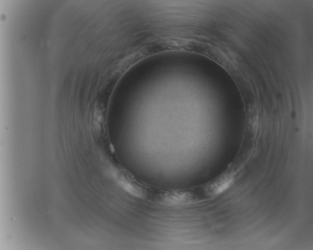 X0000062890235200601201853