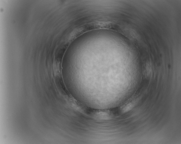 X0000062890236200601201853