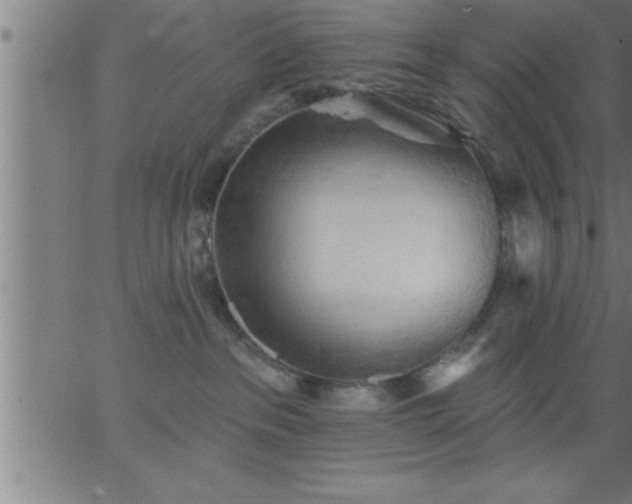 X0000062890237200601201853