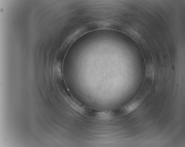 X0000062890238200601201853