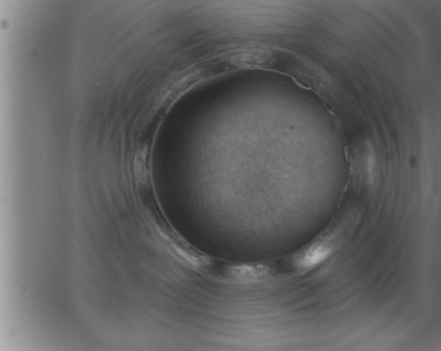 X0000062890239200601201853