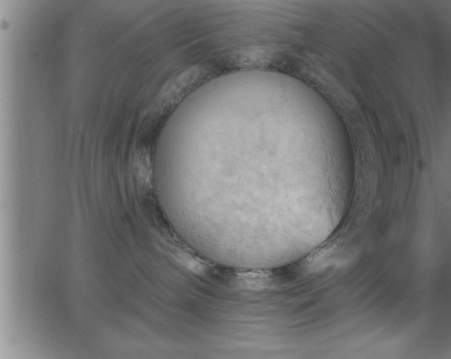 X0000062890240200601201853