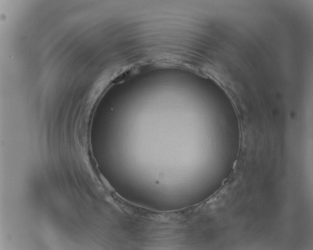 X0000062890241200601201853